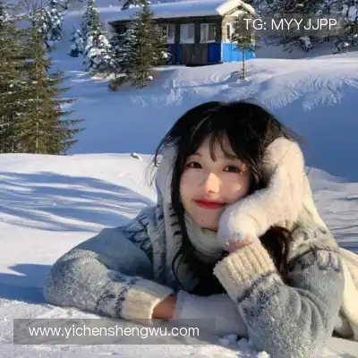 凤鲁庄