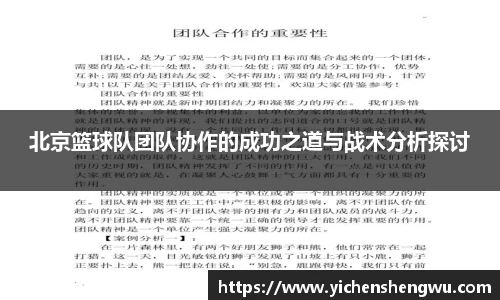 vip5519威尼斯游戏