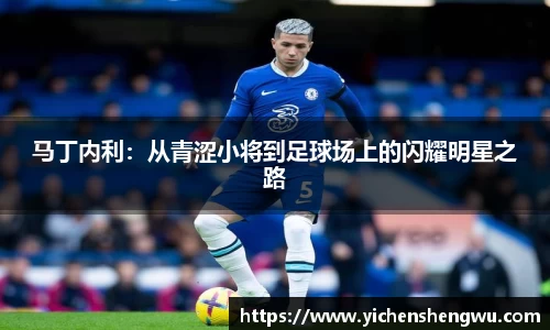 马丁内利：从青涩小将到足球场上的闪耀明星之路