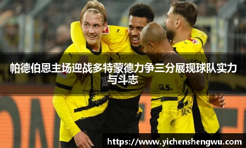 帕德伯恩主场迎战多特蒙德力争三分展现球队实力与斗志